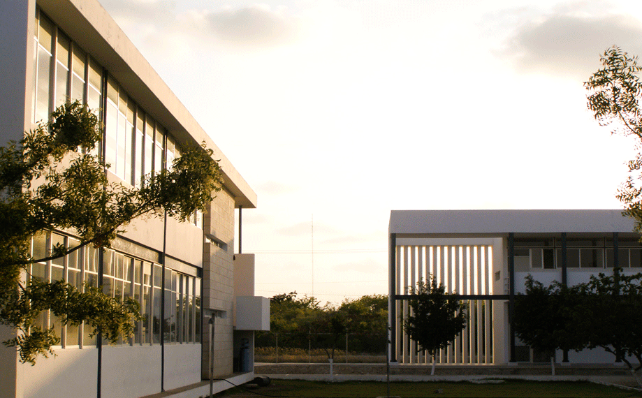 Ibero