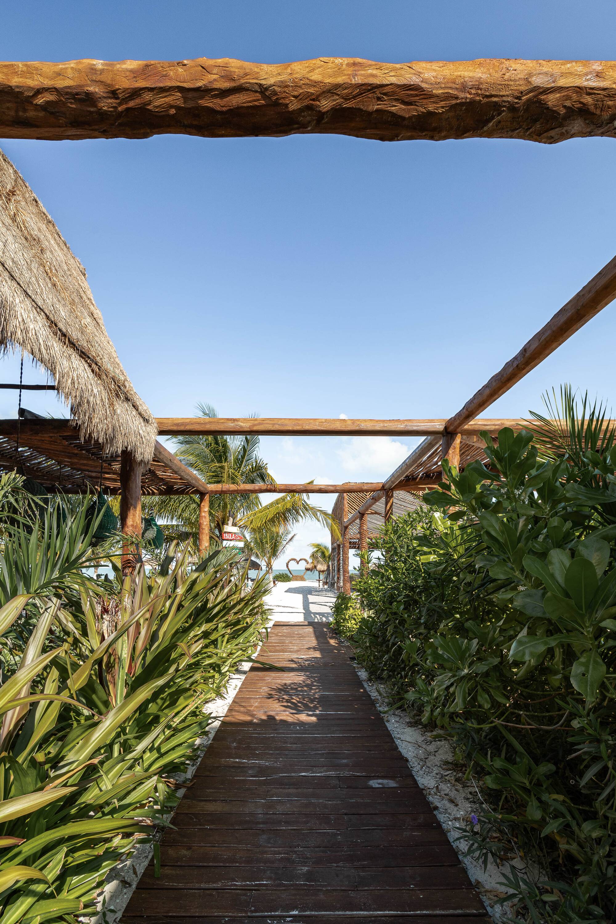 Costa Venado