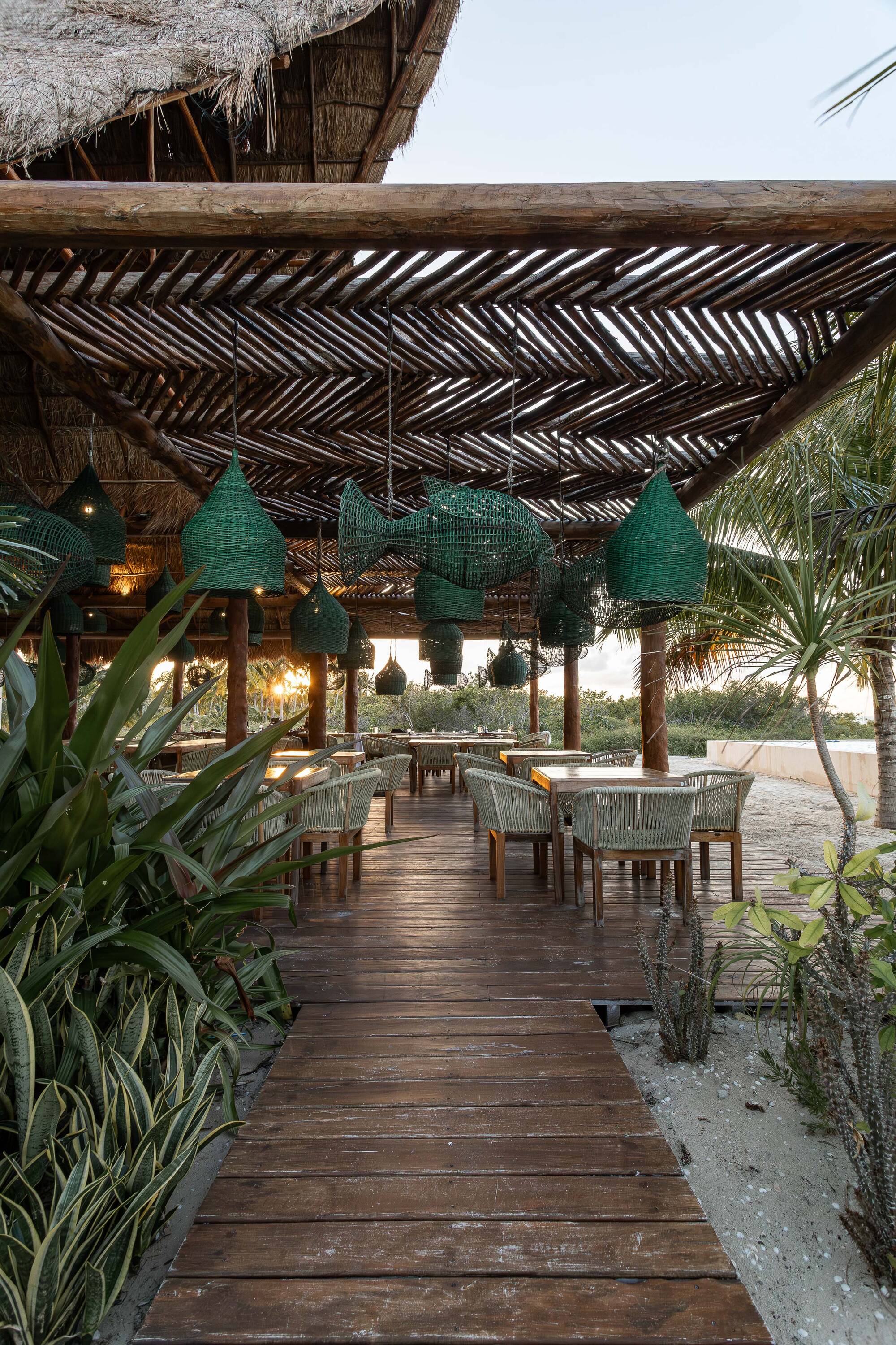Costa Venado